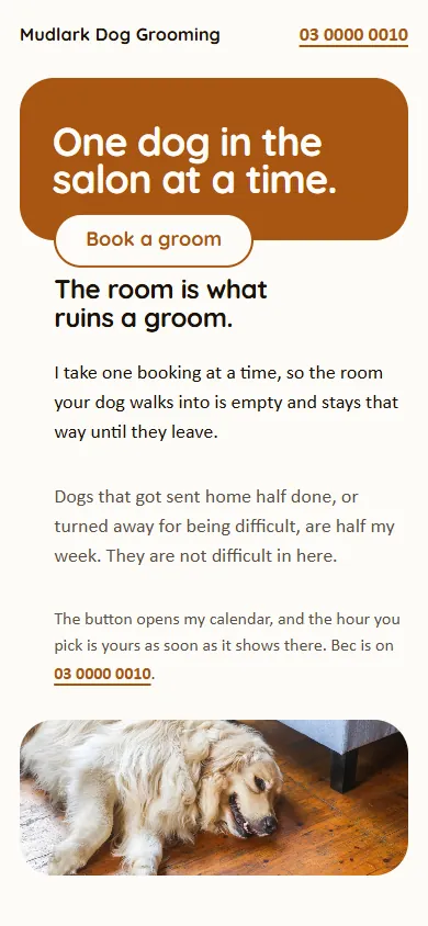 The Whistle design on a phone: a warm white page with a large rust-coloured pill holding “One dog in the salon at a time”, and a photograph of a dog below